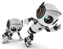 Wachstums-Autopilot - MODUL 4 - Aufbau Modul: Programmatic Ads Funnelaufbau & Optimierung